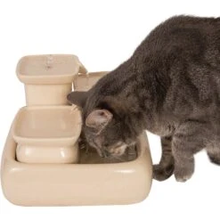 Miaustore Dog & Cat Ceramic Water Fountain, 115-oz 13 Miaustore Dog & Cat Ceramic Water Fountain, 115-oz -Blue Buffalos Shop 271771 PT5. AC SS1800 V1650014496