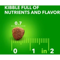Iams Lamb & Rice Recipe Large Breed Dry Dog Food 18 Iams Lamb & Rice Recipe Large Breed Dry Dog Food -Blue Buffalos Shop 272308 PT7. AC SS1800 V1667864999