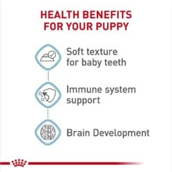 Royal Canin Size Health Nutrition Starter Mother & Babydog Mousse In Sauce Canned Dog Food -Blue Buffalos Shop 272675 PT4. AC SS1800 V1697213093