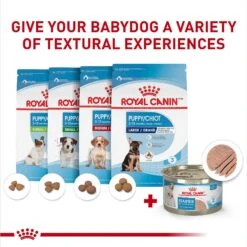 Royal Canin Size Health Nutrition Starter Mother & Babydog Mousse In Sauce Canned Dog Food -Blue Buffalos Shop 272675 PT5. AC SS1800 V1697212426