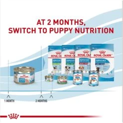 Royal Canin Size Health Nutrition Starter Mother & Babydog Mousse In Sauce Canned Dog Food -Blue Buffalos Shop 272675 PT6. AC SS1800 V1697216753