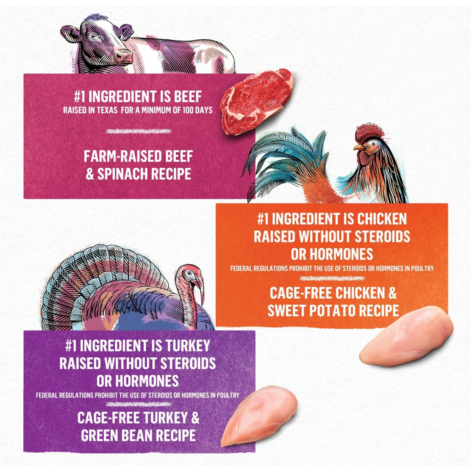 Purina Beyond Beef, Chicken & Turkey Recipes Variety Pack Grain-Free Wet Dog Food, 12.5-oz Can, Case Of 12 5 Purina Beyond Beef, Chicken & Turkey Recipes Variety Pack Grain-Free Wet Dog Food, 12.5-oz Can, Case Of 12 - Image 3