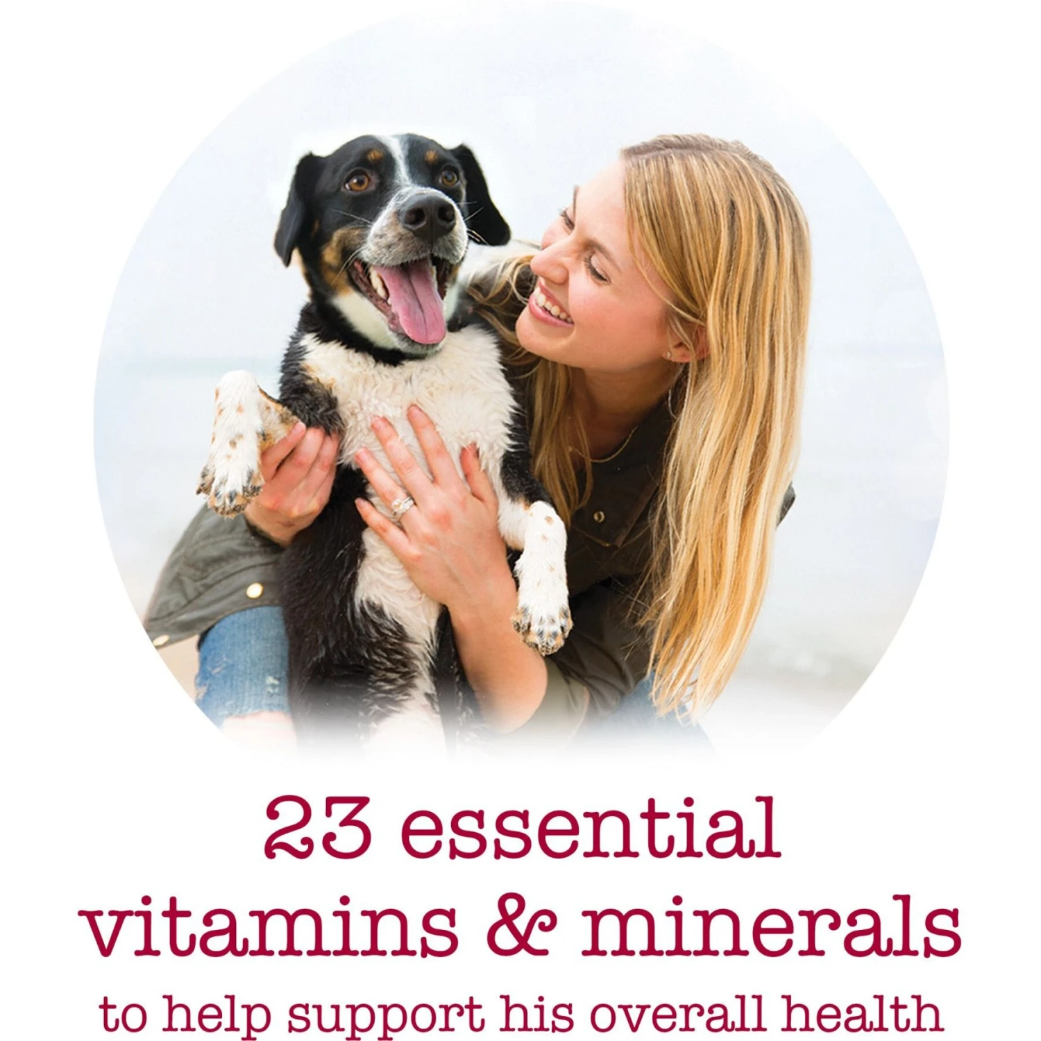 Purina Beneful Medleys Tuscan, Romana & Mediterranean Style Variety Pack Wet Dog Food 11 Purina Beneful Medleys Tuscan, Romana & Mediterranean Style Variety Pack Wet Dog Food - Image 9