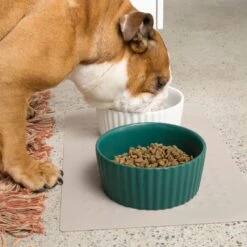 Waggo Ripple Solid Ceramic Dog & Cat Bowl -Blue Buffalos Shop 277046 PT3. AC SS1800 V1698093409