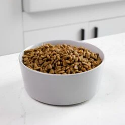 Waggo Simple Solid Ceramic Dog & Cat Bowl -Blue Buffalos Shop 277061 PT2. AC SS1800 V1697132261