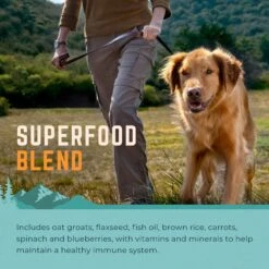 Natural Balance Original Ultra Chicken & Barley Formula Large Breed Bites Dry Dog Food, 30-lb Bag -Blue Buffalos Shop 277109 PT4. AC SS1800 V1614207437