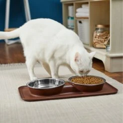 Frisco Silicone Stainless Steel Double Diner Dog & Cat Bowl, Brown -Blue Buffalos Shop 277551 PT3. AC SS1800 V1630348104