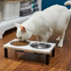 Frisco Marble Elevated Stainless Steel Double Diner Dog & Cat Bowls 11 Frisco Marble Elevated Stainless Steel Double Diner Dog & Cat Bowls -Blue Buffalos Shop 277559 PT3. AC SS1800 V1630347820