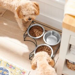 Frisco Multi Pet Feeding Corner 3-Bowls Stainless Steel Dog & Cat Bowl -Blue Buffalos Shop 277561 PT2. AC SS1800 V1630346973