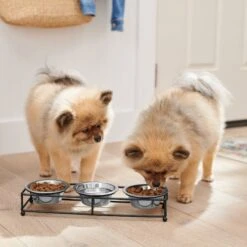 Frisco Multi Pet Feeding 3-Bowls Straight Stainless Steel Dog & Cat Bowl -Blue Buffalos Shop 277568 PT2. AC SS1800 V1630346795