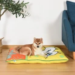 Fetch For Pets Spongebob Sponge-Bob Napper Dog Bed, Yellow -Blue Buffalos Shop 277833 PT5. AC SS1800 V1625611307