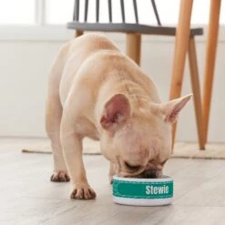 Frisco Personalized General Dog & Cat Small Dog Bowl -Blue Buffalos Shop 278924 PT3. AC SS1800 V1629147374