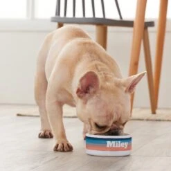 Frisco Personalized Watercolor Small Dog & Cat Bowl -Blue Buffalos Shop 278944 PT3. AC SS1800 V1629147733