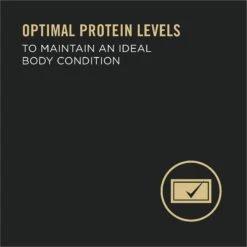 Purina Pro Plan Adult 7+ Complete Essentials Turkey & Rice Entree Wet Dog Food, 13-oz Can, Case Of 12 -Blue Buffalos Shop 280293 PT3. AC SS1800 V1615850188