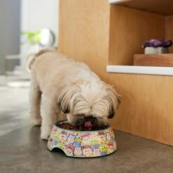 Pixar Toy Story Non-Skid Stainless Steel With Melamine Stand Dog & Cat Bowl -Blue Buffalos Shop 280641 PT2. AC SS1800 V1629986726