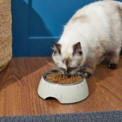 STAR WARS TIE FIGHTER Non-Skid Stainless Steel With Melamine Stand Dog & Cat Bowl -Blue Buffalos Shop 280651 PT3. AC SS1800 V1629986665