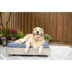 La-Z-Boy Bailey Indoor/Outdoor Sofa Dog Bed -Blue Buffalos Shop 280882 PT3. AC SS1800 V1616622387