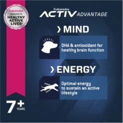 Eukanuba Senior Small Breed Dry Dog Food 13 Eukanuba Senior Small Breed Dry Dog Food -Blue Buffalos Shop 282287 PT3. AC SS1800 V1677085791