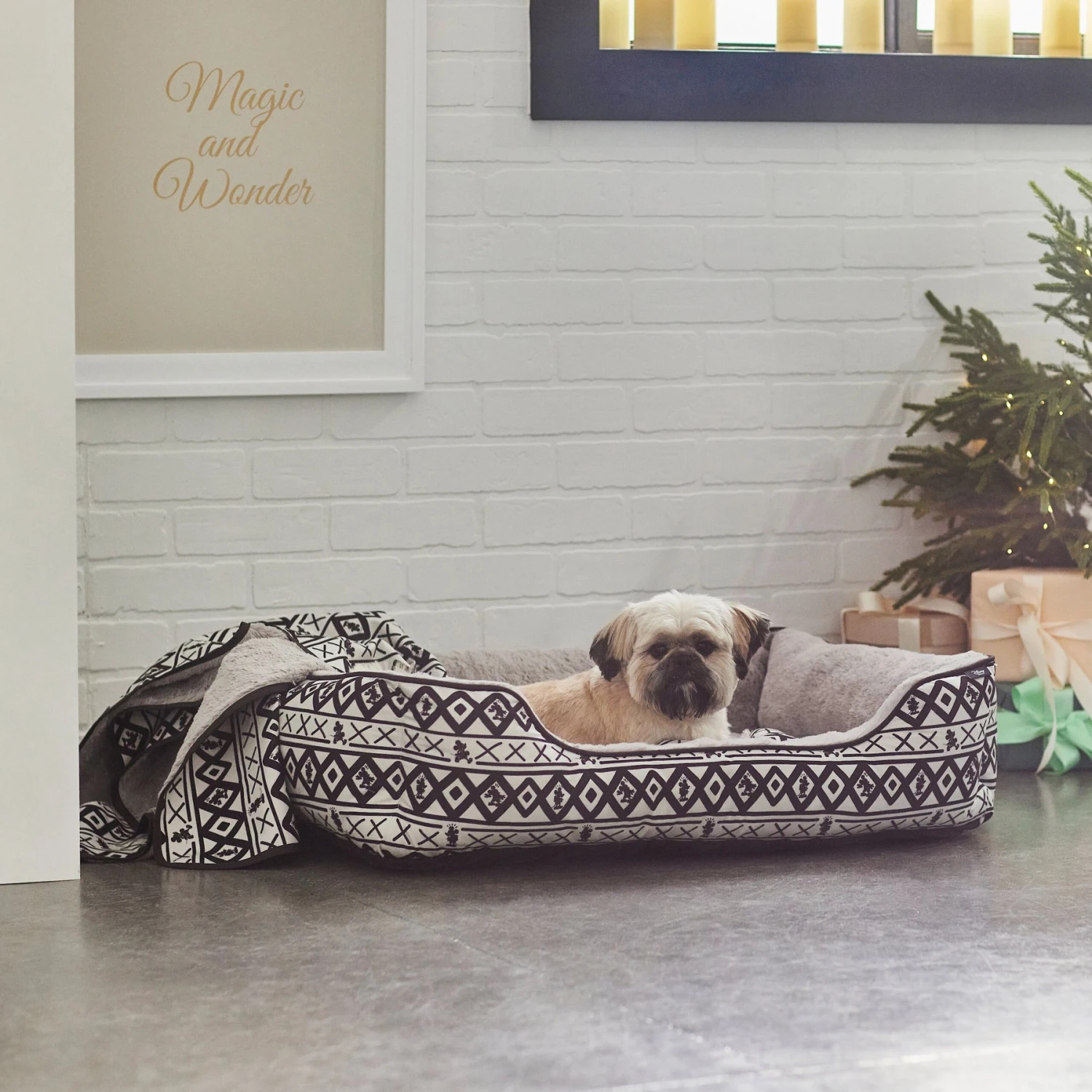 Disney Mickey Mouse Southwest Criss Cross Pattern Pet Bed & Gift Set 3 Disney Mickey Mouse Southwest Criss Cross Pattern Pet Bed & Gift Set