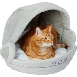 STAR WARS THE MANDALORIAN GROGU Pram Covered Cat & Dog Bed 9 STAR WARS THE MANDALORIAN GROGU Pram Covered Cat & Dog Bed -Blue Buffalos Shop 282420 PT2. AC SS1800 V1630440388
