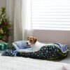 Pixar Toy Story Pet Bed & Gift Set -Blue Buffalos Shop 282426 MAIN. AC SS1800 V1631117547