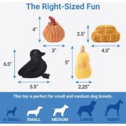 Frisco Fall Farmhouse Hide & Seek Puzzle Plush Squeaky Dog Toy -Blue Buffalos Shop 285629 PT2. AC SS1800 V1636990881