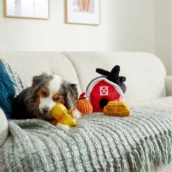 Frisco Fall Farmhouse Hide & Seek Puzzle Plush Squeaky Dog Toy -Blue Buffalos Shop 285629 PT3. AC SS1800 V1629725107