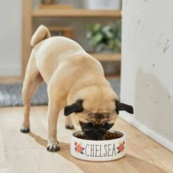 Frisco Flower Ceramic Personalized Dog Bowl -Blue Buffalos Shop 286985 PT2. AC SS1800 V1625764713