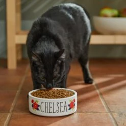 Frisco Flower Ceramic Personalized Dog Bowl -Blue Buffalos Shop 286985 PT3. AC SS1800 V1625764702