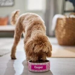 Frisco Personalized Plaid Ceramic Dog Bowl 11 Frisco Personalized Plaid Ceramic Dog Bowl -Blue Buffalos Shop 287013 PT4. AC SS1800 V1639518088