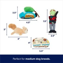 Frisco Holiday House Hide & Seek Puzzle Plush Squeaky Dog Toy 11 Frisco Holiday House Hide & Seek Puzzle Plush Squeaky Dog Toy -Blue Buffalos Shop 287083 PT2. AC SS1800 V1695046042