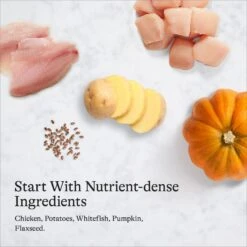 American Journey Chicken Recipe Grain-Free Canned Dog Food, 12.5-oz -Blue Buffalos Shop 287336 PT6. AC SS1800 V1696608323