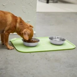 STAR WARS THE MANDALORIAN GROGU Snack Silicone Dog & Cat Food Mat -Blue Buffalos Shop 291448 PT2. AC SS1800 V1633979380