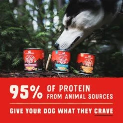 Stella & Chewy's Wild Red Variety Pack Grain-Free Wet Dog Food -Blue Buffalos Shop 291655 PT3. AC SS1800 V1619858289