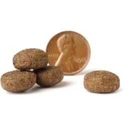 VICTOR Classic Elite Canine Dry Dog Food -Blue Buffalos Shop 291727 PT3. AC SS1800 V1677685937