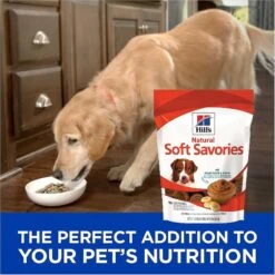 Hill's Science Diet Adult Sensitive Stomach & Sensitive Skin Chicken Recipe Dry Dog Food & Hill's Natural Soft Savories With Peanut Butter & Banana Dog Treats -Blue Buffalos Shop 293202 PT7. AC SS1800 V1639091816