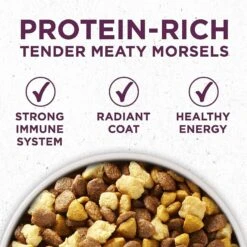 Purina ONE +Plus Natural High Protein Healthy Puppy Formula Dry Puppy Food & Wellness Soft Puppy Bites Lamb & Salmon Recipe Grain-Free Natural Dog Treats -Blue Buffalos Shop 293538 PT3. AC SS1800 V1620089536