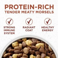 Purina ONE +Plus Adult High-Protein Healthy Weight Formula Dry Dog Food & Milk-Bone Original Large Biscuit Dog Treats -Blue Buffalos Shop 293540 PT3. AC SS1800 V1620090167