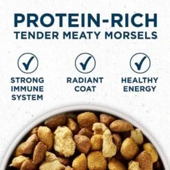 Purina ONE Natural Large Breed +Plus Formula Dry Dog Food & Milk-Bone Original Large Biscuit Dog Treats -Blue Buffalos Shop 293546 PT3. AC SS1800 V1620089839