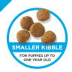 Purina Pro Plan High Protein Chicken & Rice Formula Dry Puppy Food & Wellness Soft Puppy Bites Lamb & Salmon Recipe Grain-Free Natural Dog Treats -Blue Buffalos Shop 293654 PT3. AC SS1800 V1620245833