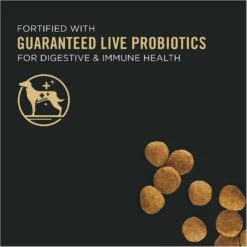 Purina Pro Plan High Protein DHA Lamb & Rice Formula Puppy Food & Wellness Soft Puppy Bites Lamb & Salmon Recipe Grain-Free Natural Dog Treats -Blue Buffalos Shop 293660 PT3. AC SS1800 V1623875585