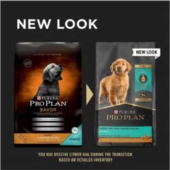 Purina Pro Plan Puppy Shredded Blend Chicken & Rice Formula With Probiotics Dry Dog Food & Wellness Soft Puppy Bites Lamb & Salmon Recipe Grain-Free Natural Dog Treats -Blue Buffalos Shop 293678 PT4. AC SS1800 V1620081754
