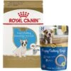 Royal Canin Breed Health Nutrition French Bulldog Puppy Dry Dog Food & N-Bone Puppy Teething Ring Chicken Flavor Dog Treats -Blue Buffalos Shop 293778 MAIN. AC SS1800 V1620084725