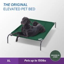 Coolaroo Steel-Framed Elevated Dog Bed -Blue Buffalos Shop 294607 PT7. AC SS1800 V1620690458