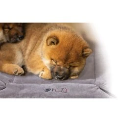 K&H Pet Products Mother's Heartbeat Fleece Puppy Crate Pad 19 K&H Pet Products Mother's Heartbeat Fleece Puppy Crate Pad -Blue Buffalos Shop 296525 PT8. AC SS1800 V1627946893