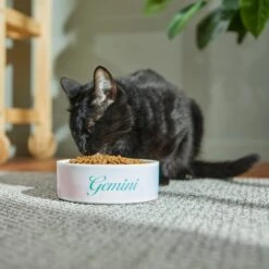 Frisco Watercolors Ceramic Personalized Dog Bowl -Blue Buffalos Shop 296664 PT3. AC SS1800 V1625764646