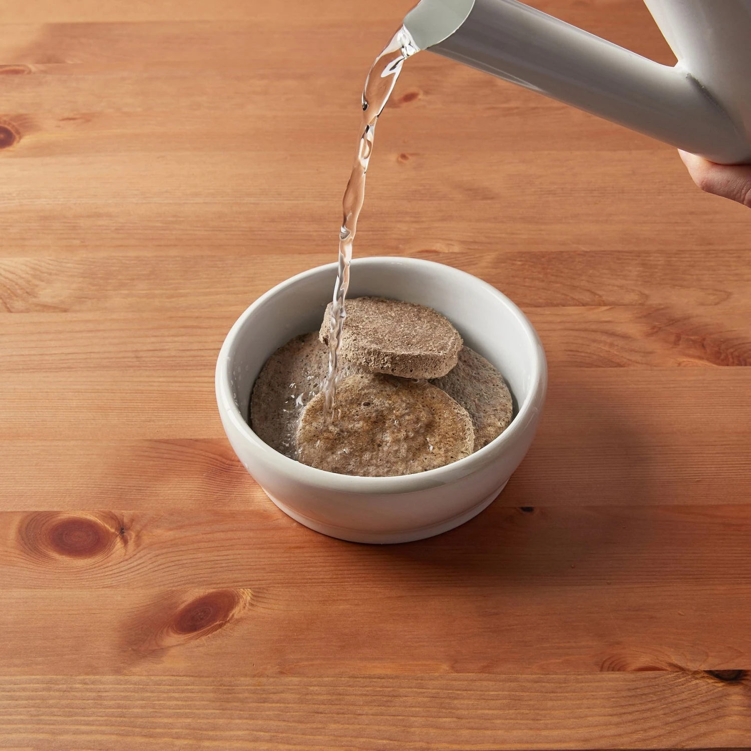 American Journey Puppy Chicken & Sweet Potato Recipe Grain-Free Dry Dog Food & Tylee's Freeze-Dried Meals For Dogs, Chicken & Salmon Recipe 11 American Journey Puppy Chicken & Sweet Potato Recipe Grain-Free Dry Dog Food & Tylee's Freeze-Dried Meals For Dogs, Chicken & Salmon Recipe - Image 9