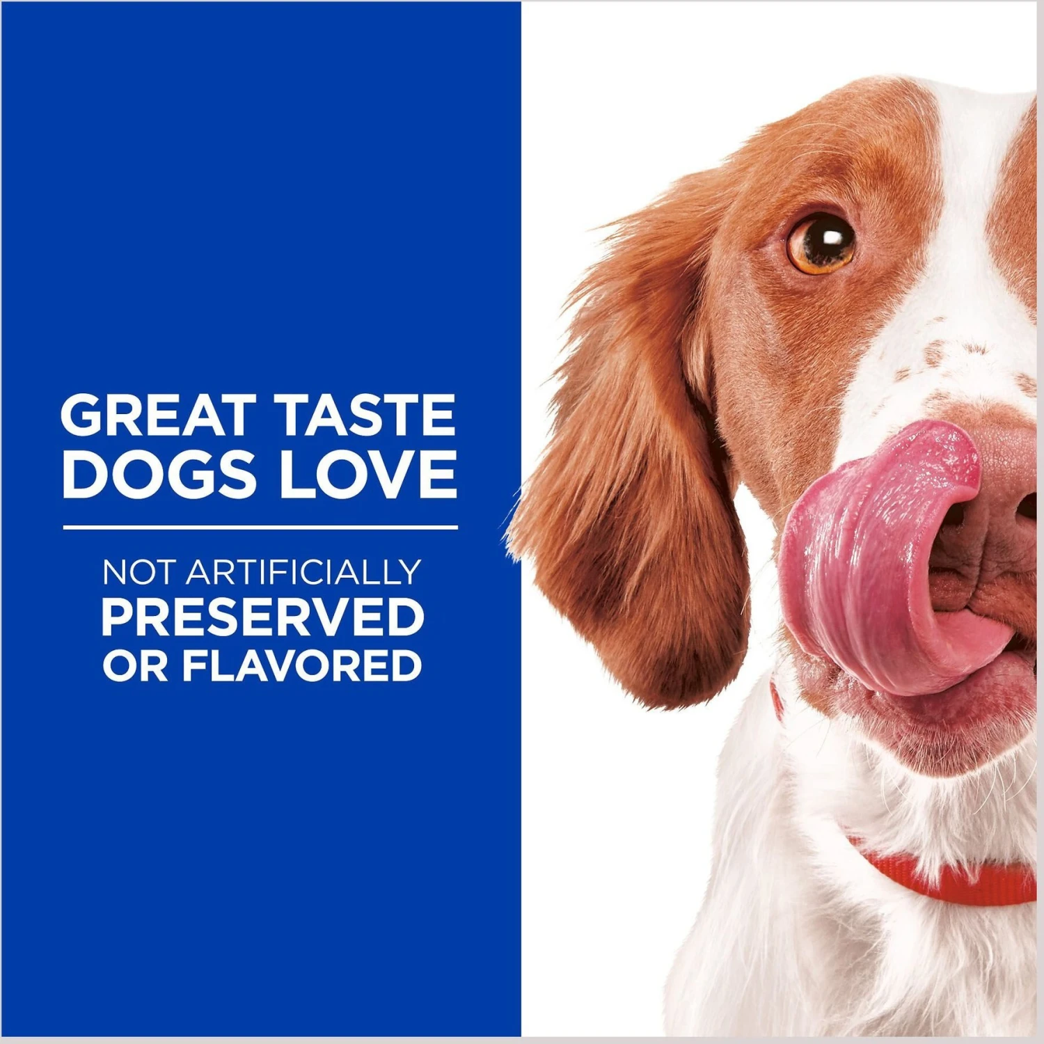 Hill's Science Diet Adult 11+ Small & Mini Chicken Meal, Barley & Brown Rice Recipe Dry Dog Food & Hill's Natural Soft Savories With Peanut Butter & Banana Dog Treats 7 Hill's Science Diet Adult 11+ Small & Mini Chicken Meal, Barley & Brown Rice Recipe Dry Dog Food & Hill's Natural Soft Savories With Peanut Butter & Banana Dog Treats - Image 5