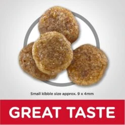 Hill's Science Diet Adult 7+ Small Bites Chicken Meal, Barley & Rice Recipe Dry Dog Food & Hill's Science Diet Adult 7+ Chicken & Barley Entree Canned Dog Food -Blue Buffalos Shop 298084 PT3. AC SS1800 V1621298551