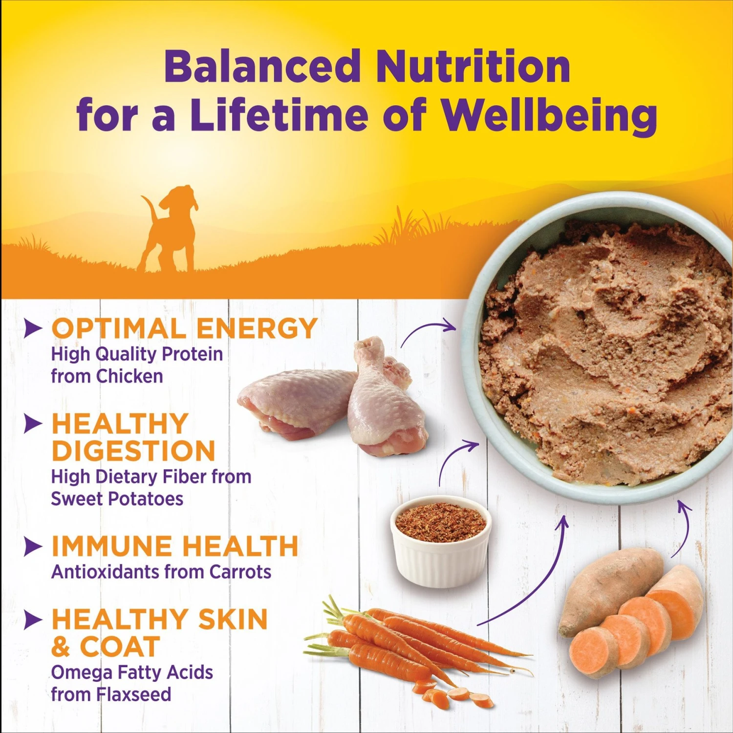 Wellness Complete Health Puppy Deboned Chicken, Oatmeal & Salmon Meal Recipe Dry Dog Food & Wellness Complete Health Just For Puppy Canned Dog Food 7 Wellness Complete Health Puppy Deboned Chicken, Oatmeal & Salmon Meal Recipe Dry Dog Food & Wellness Complete Health Just For Puppy Canned Dog Food - Image 5